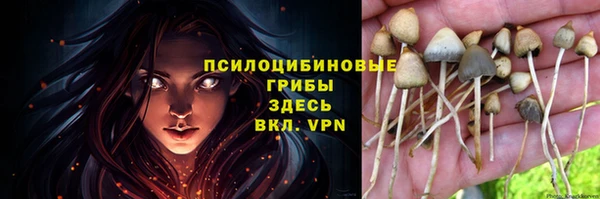 spice Приозерск