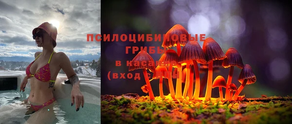 твердый Пролетарск