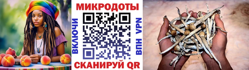 Псилоцибиновые грибы ЛСД  Старица 